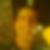 Photo de profil de Brumeau Alain