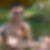 Photo de profil de Thomas Curillon
