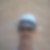 Photo de profil de Thierry Vollard