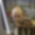 Photo de profil de Fabien Meschini