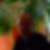 Photo de profil de Claude Fouchard
