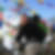 Photo de profil de Richard Monier