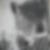Photo de profil de Michéle Pizzaferri
