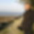 Photo de profil de Robert Forte