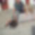 Photo de profil de Jimmy Lardy