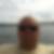 Photo de profil de Lionel Sulpice