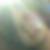 Photo de profil de Margot Faurie