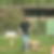 Photo de profil de Fabien Yung