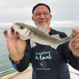 Photo de profil de Hervé Allaire