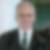Photo de profil de Rene Rossi