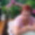 Photo de profil de Marika Campeaux