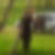 Photo de profil de Veronique van Malderen