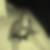 Photo de profil de Lauriane Peins