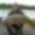Photo de profil de Fabrice Giezek