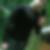 Photo de profil de Guillaume Vallin