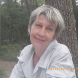 Photo de profil de Sylvie Perrin