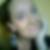 Photo de profil de Martine Merle-Souply