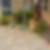 Photo de profil de Hanou Esther