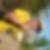 Photo de profil de Costes Jean Claude