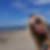 Photo de profil de Ingrid Schippers
