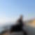 Photo de profil de Faycal Benzine