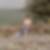 Photo de profil de Laure Piquot