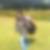 Photo de profil de Colette Geoffre