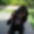 Photo de profil de Claudette Castelli