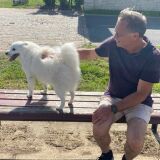 Photo de profil de Dominique Froidevaux