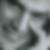 Photo de profil de André Rollin