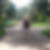 Photo de profil de Daniel Legrain