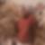 Photo de profil de Guy Borde