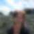 Photo de profil de Valerie Hallet