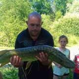 Photo de profil de Boivin David