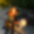Photo de profil de Genevieve Guillet