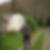 Photo de profil de Serge Gandon