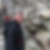 Photo de profil de Regis Chalard