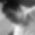 Photo de profil de Matthieu Dachicourt