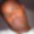 Photo de profil de Selemani Amir