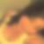 Photo de profil de Naoual Boudess