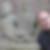 Photo de profil de Michel Waterloos