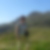 Photo de profil de Claire Plassart