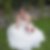 Photo de profil de Frédéricke Gateau