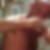 Photo de profil de William Rebboh