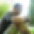 Photo de profil de Vincent Fleter
