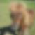 Photo de profil de Cordobes Ingrid