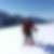 Photo de profil de Joseph Bullich