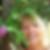 Photo de profil de Sylvette Blandin
