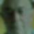 Photo de profil de Alain Boulley