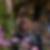 Photo de profil de Tony Milhem